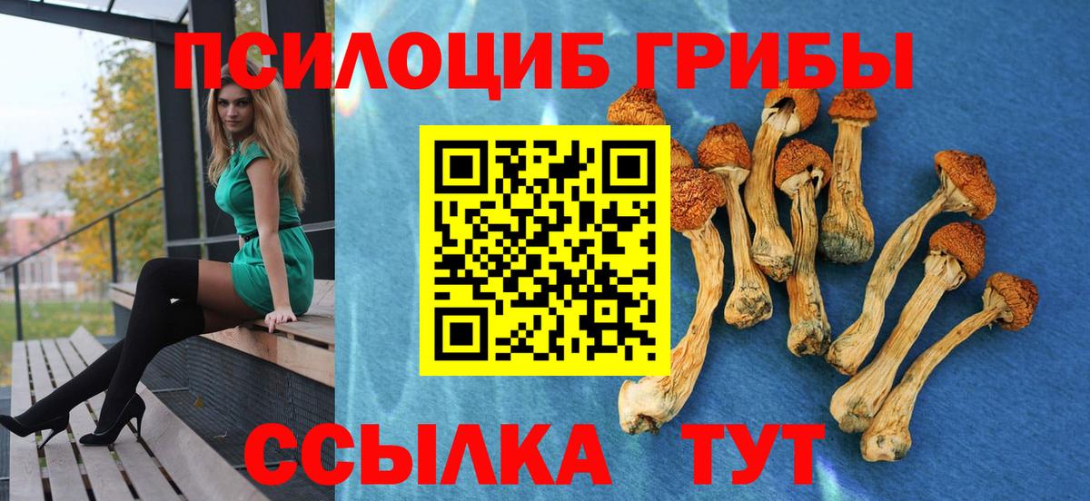 Галлюциногенные грибы мицелий Новый Уренгой