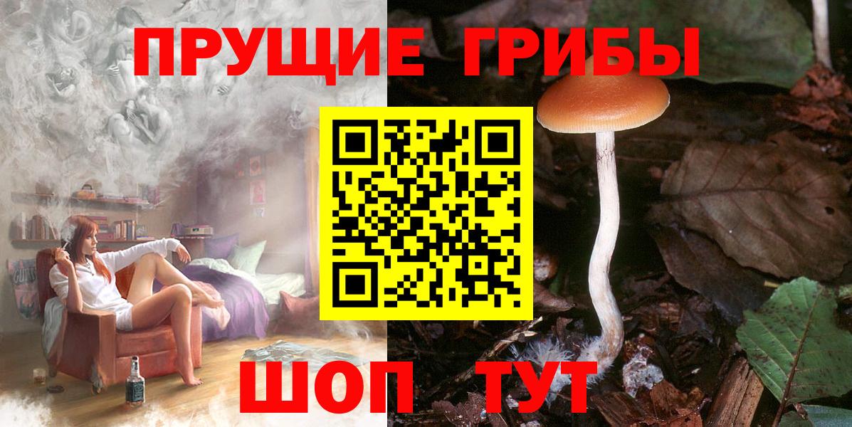Новый Уренгой  Галлюциногенные грибы MAGIC MUSHROOMS  Вход с VPN 